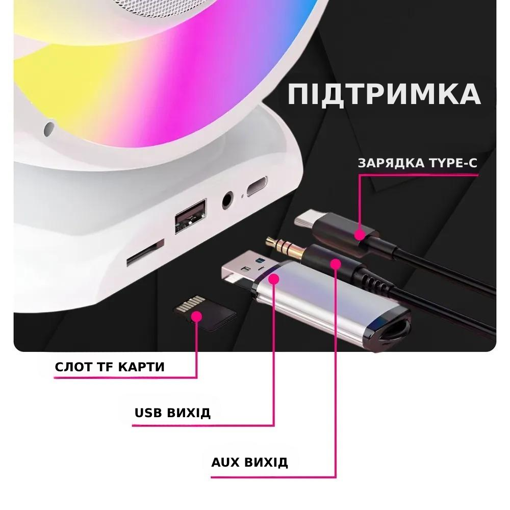 Портативная колонка с караоке Lightshow c двумя микрофонами (1101) - фото 4