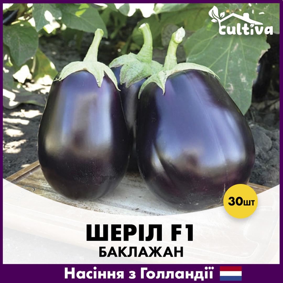 Насіння баклажану Rijk Zwaan Шеріл F1 30 шт. (R51009)