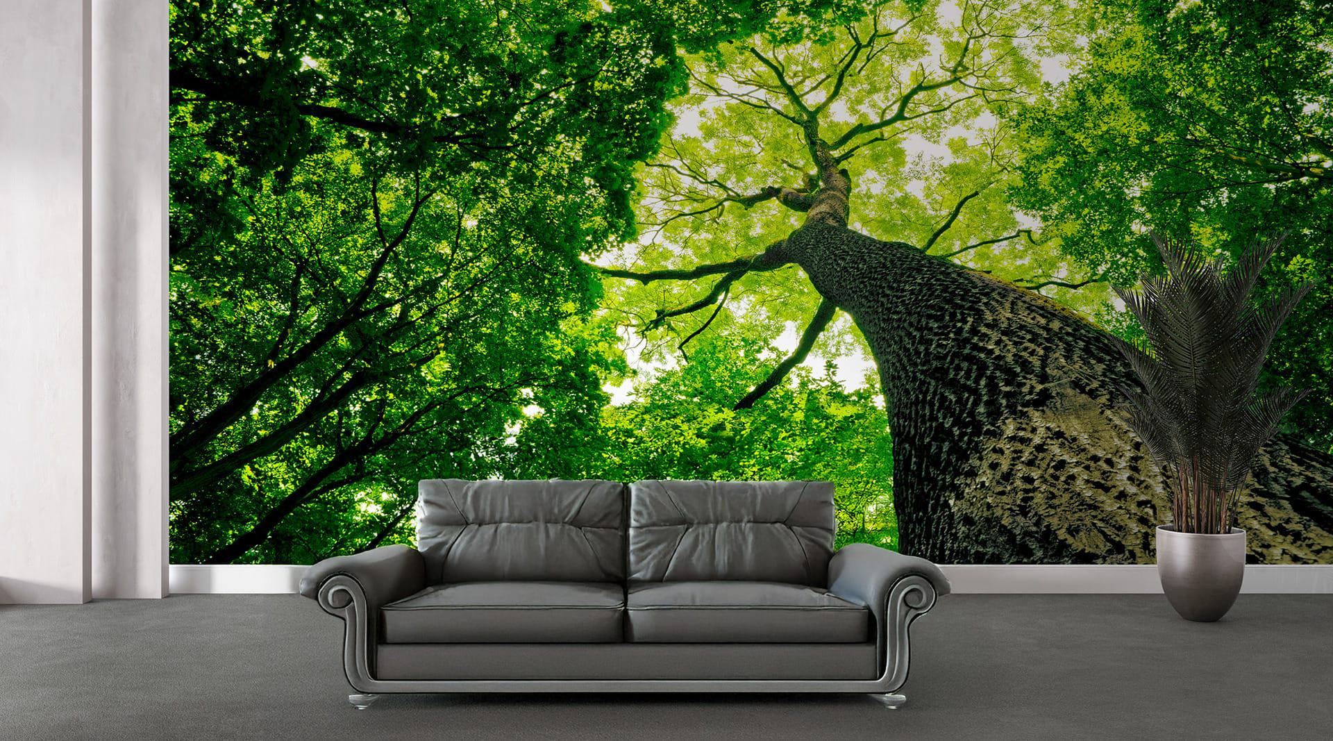 Фотообои флизелиновые Styleo Print-walls Величественное дерево 0290 300х200 см (Pw-0290)