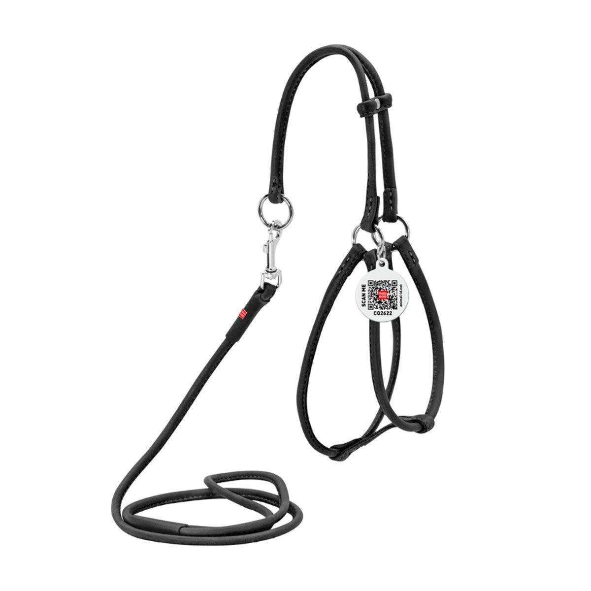Шлея з повідцем для собак Waudog Soft з QR паспортом/кругла/шкіряна 6 мм х 42-60 см х 46-64 см Чорний (46201 Col)