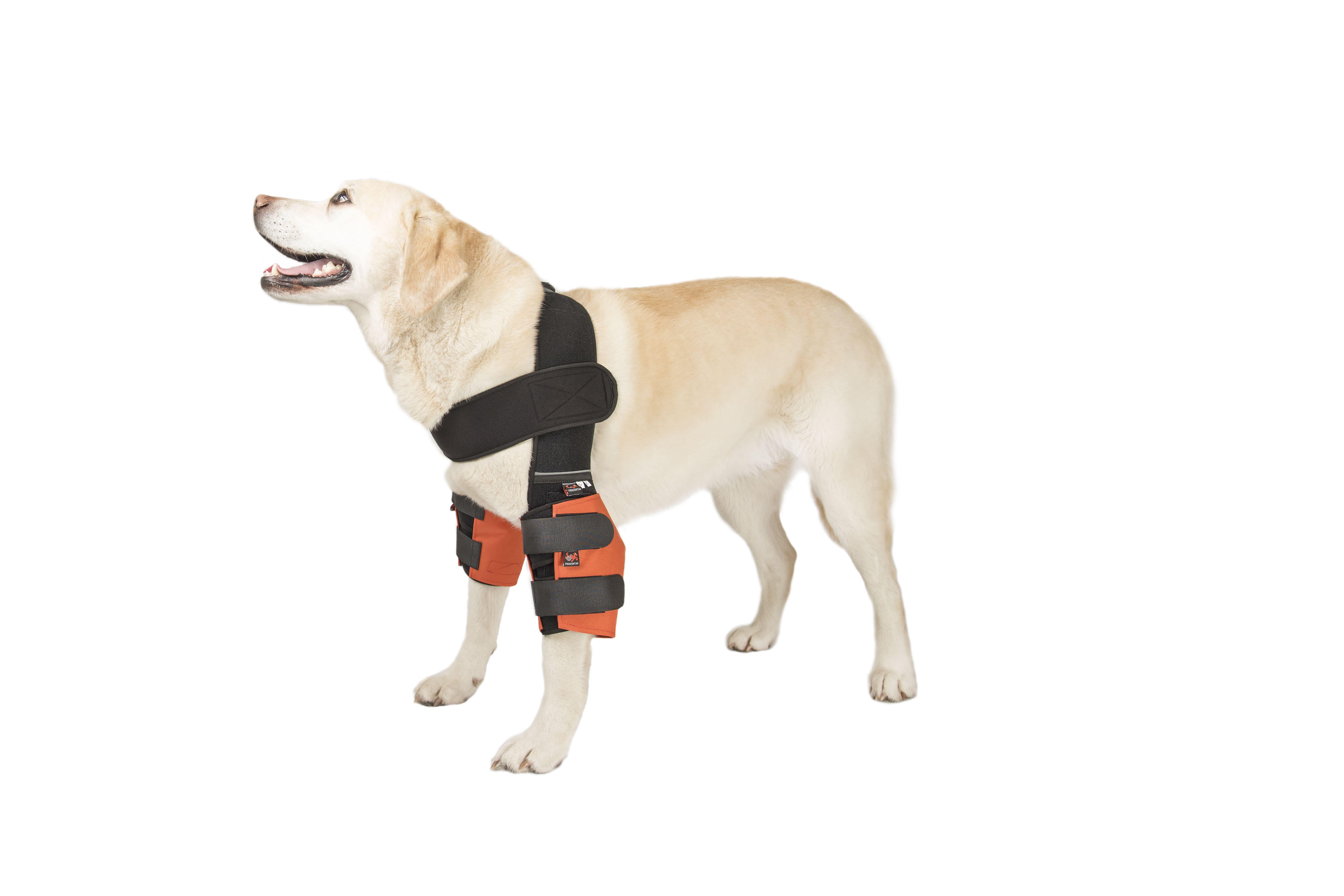 Налокотники для собак Frakishtak М Красный (28338094) - фото 3 Налокотники для собак Frakishtak М Красный (28338094) - фото 3