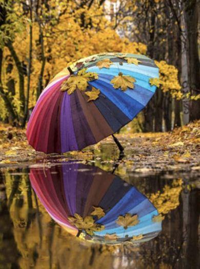 Картина по номерам Josef Otten Пейзаж Осень 40х50 см в термопакете (6100EOTG_O-mt)