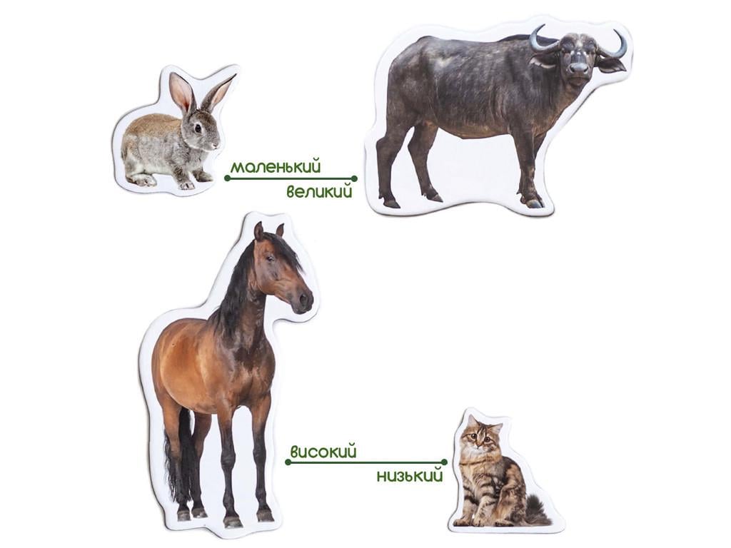 Набор магнитов Magdum ML4031-04 EN Farm Animal Magnets Ферма (22108) - фото 4 Набор магнитов Magdum ML4031-04 EN Farm Animal Magnets Ферма (22108) - фото 4