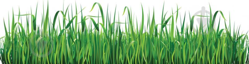 Наклейки кухонный фартук Zatarga Трава 600х2500 мм Зеленый (Z180175)