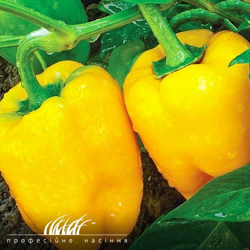 Семена Перець Florium солодкий Альба (11795)