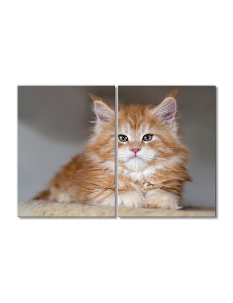 Картина модульная Рыжий котенок мейн-кун 2 модуля 80x120 см (Zhivotnye1810007)