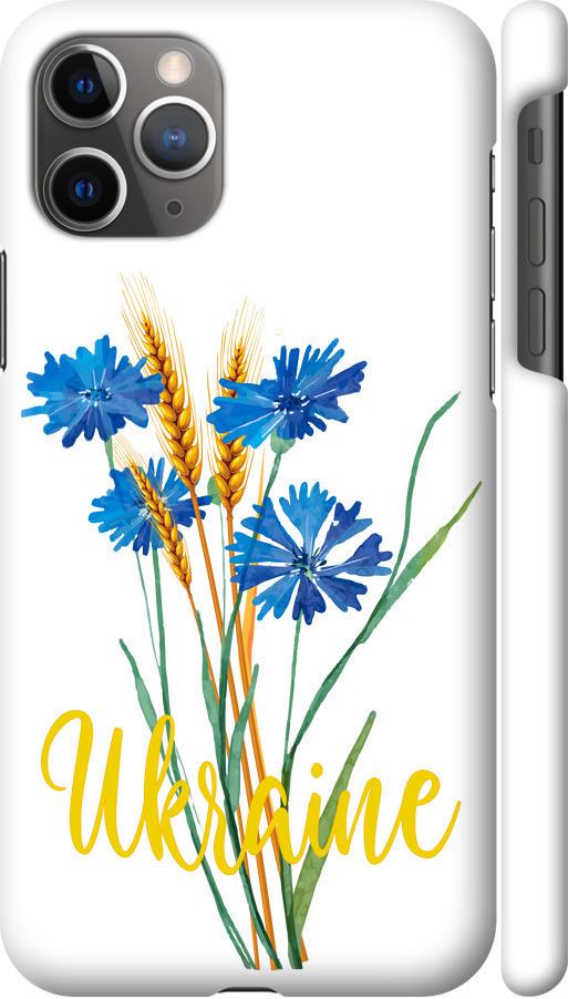 Чехол на iPhone 11 Pro Max Ukraine v2 (5445m-1723-42517)
