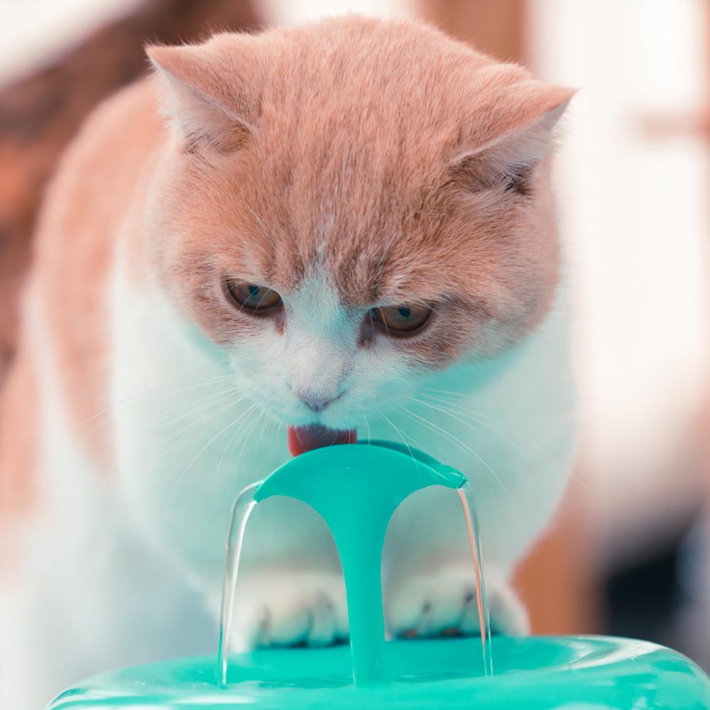 Питьевой фонтан для кошек и собак PAWOOF X1 Cleaning Kit с фильтром и набором для чистки 1,5 л Зеленый - фото 6 Питьевой фонтан для кошек и собак PAWOOF X1 Cleaning Kit с фильтром и набором для чистки 1,5 л Зеленый - фото 6