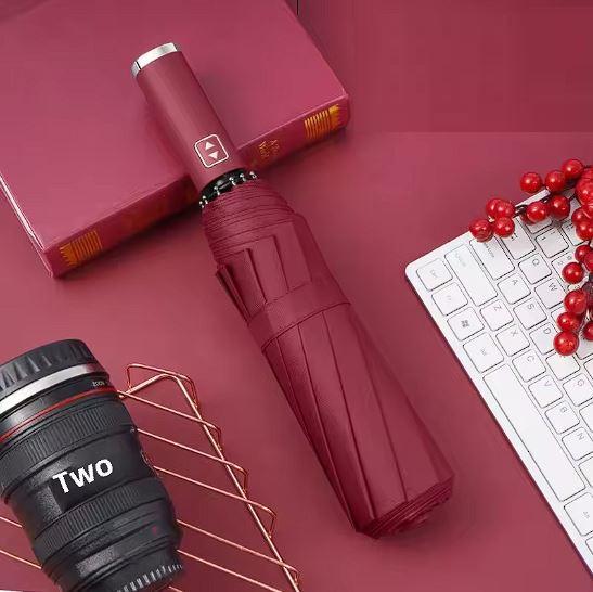 Зонт складной автомат 10 спиц d 130 см Wine Red (30334) - фото 2 Зонт складной автомат 10 спиц d 130 см Wine Red (30334) - фото 2