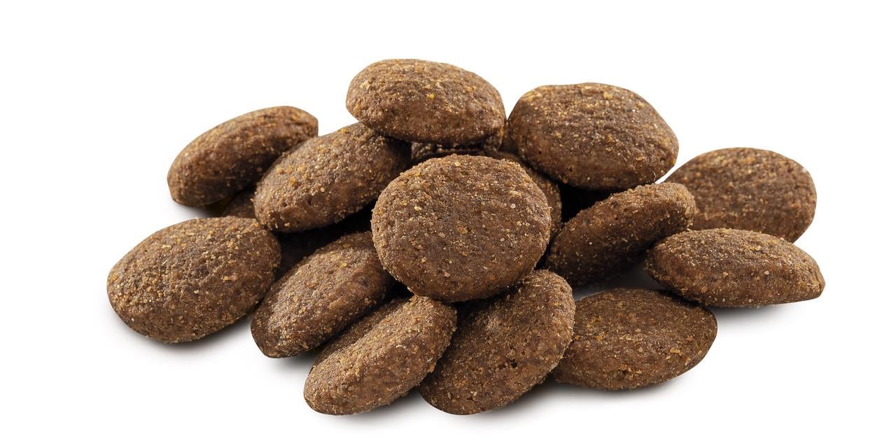 Сухой корм для взрослых собак гигантских пород Brit Premium Dog XL с курицей 15 кг (2068833912) - фото 2 Сухой корм для взрослых собак гигантских пород Brit Premium Dog XL с курицей 15 кг (2068833912) - фото 2