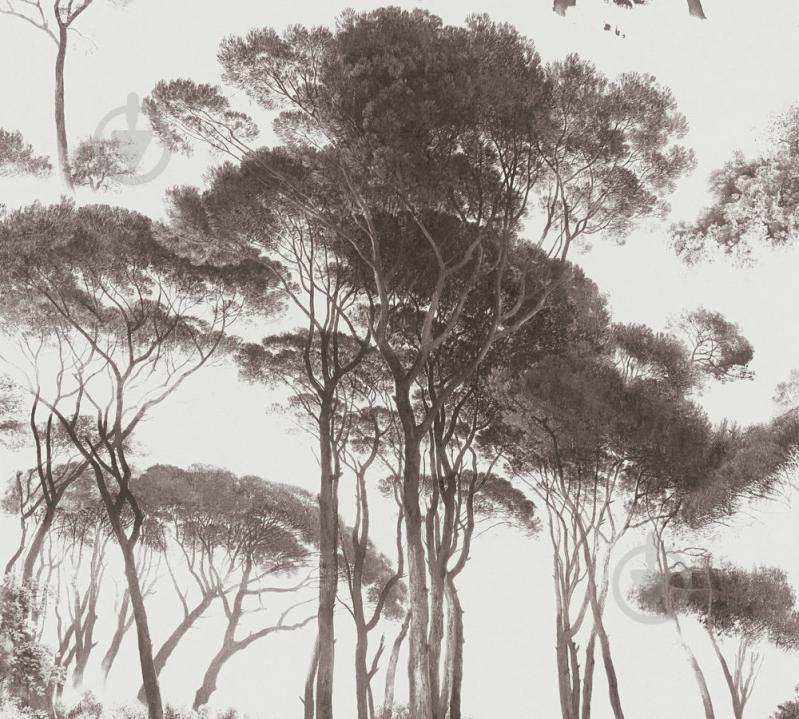 Виниловые обои на флизелиновой основе A.S.Creation History of Art 37651-1 Белый-Коричневый Виниловые обои на флизелиновой основе A.S.Creation History of Art 37651-1 Белый-Коричневый