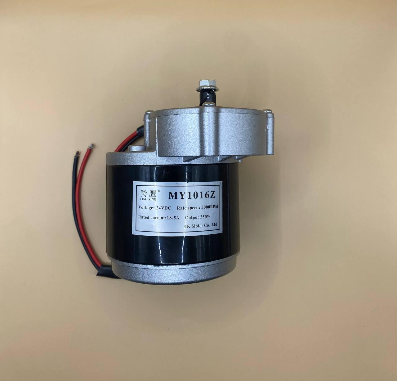 Электродвигатель MY1016Z 24V 350W для электротранспорта (1232)