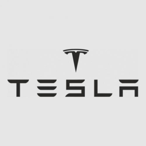 Стикер Tesla 30x11 см Черный (21562310)