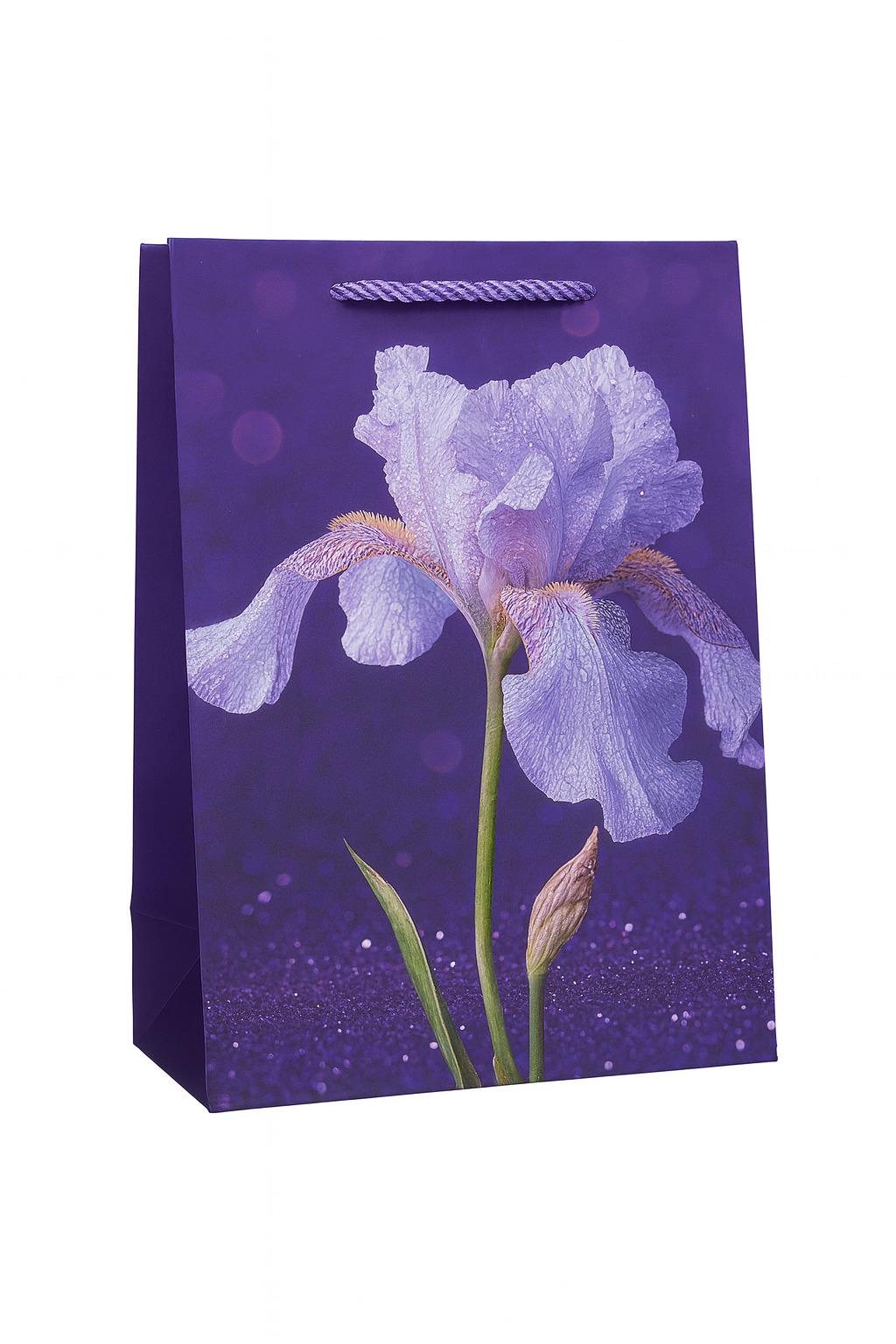 Пакет подарочный бумажный Iris M 26х32х10 см (R34717-M)