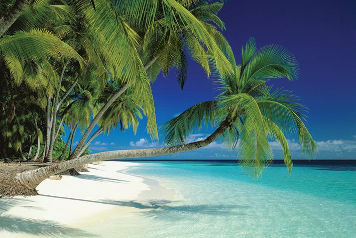 Постер плакат Мальдивский Пляж/Maldives Beach 61x91,5 см