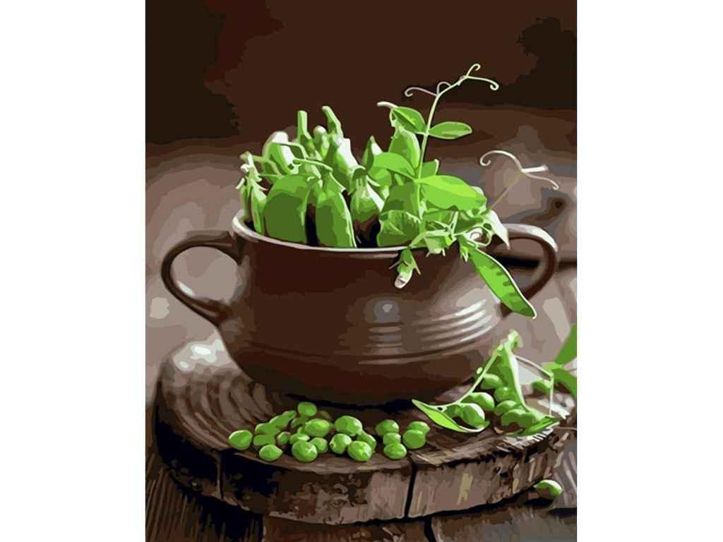 Картина по номерам Strateg Зеленый горошек 40х50 см (GS1314)