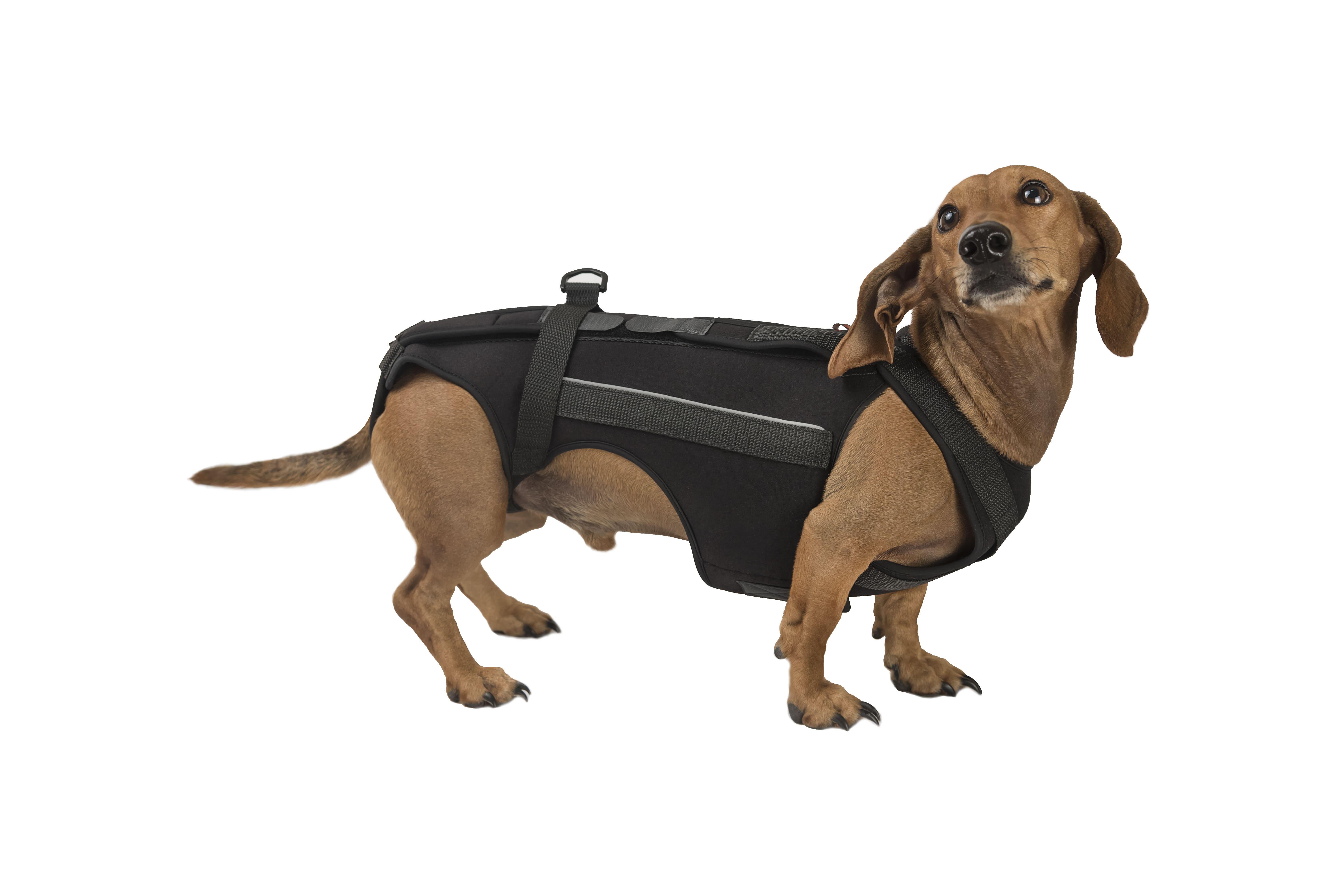 Корсет Frakishtak для позвоночника XS Черный (28283509) - фото 3 Корсет Frakishtak для позвоночника XS Черный (28283509) - фото 3