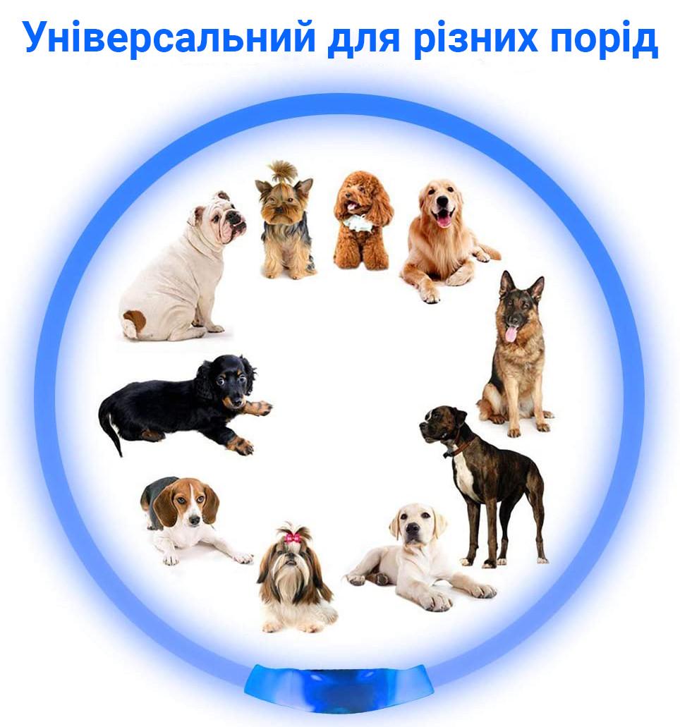 Ошейник iPets LC-01 с LED свечением L Голубой - фото 7