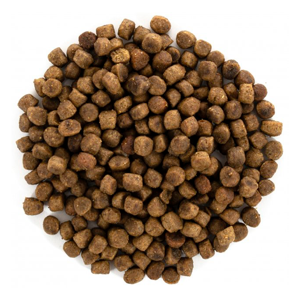 Сухий корм для котів Brit Care Cat GF Kitten Growth & Development - 2 кг - фото 2 Сухий корм для котів Brit Care Cat GF Kitten Growth & Development - 2 кг - фото 2