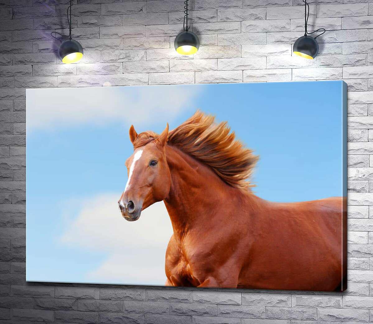 Картина ArtPoster Гнедой конь с белой меткой на голове скачет галопом 100x68 см Модуль №1 (001110)