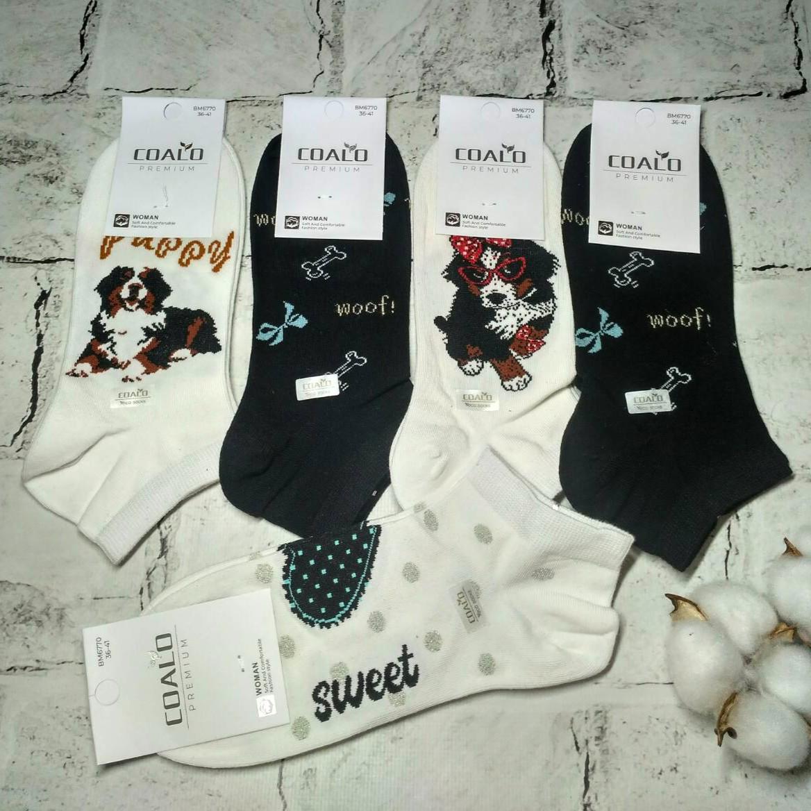 Носки женские хлопковые короткие Собачка набор 5 пар р. 36-41 Черно-белые (BM6770) Носки женские хлопковые короткие Собачка набор 5 пар р. 36-41 Черно-белые (BM6770)