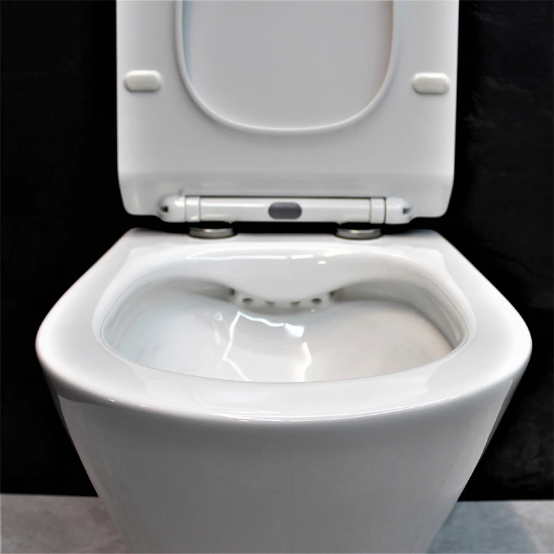 ᐉ Інсталяція Grohe Rapid SL 38772001 з унітазом Dusel Teri/сидіння Slim ...