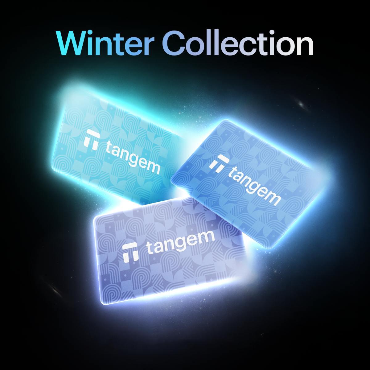 Криптокошелек Tangem 2,0 Wallet Shades of Winter Collection 3 шт. - фото 2 Криптокошелек Tangem 2,0 Wallet Shades of Winter Collection 3 шт. - фото 2