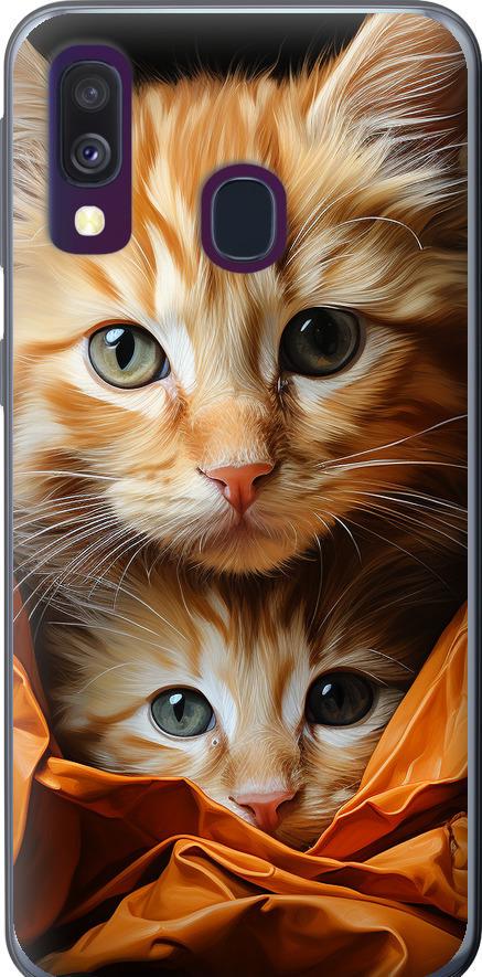 Чехол на Samsung Galaxy A40 2019 A405F Котики 2 (5664u-1672-42517)