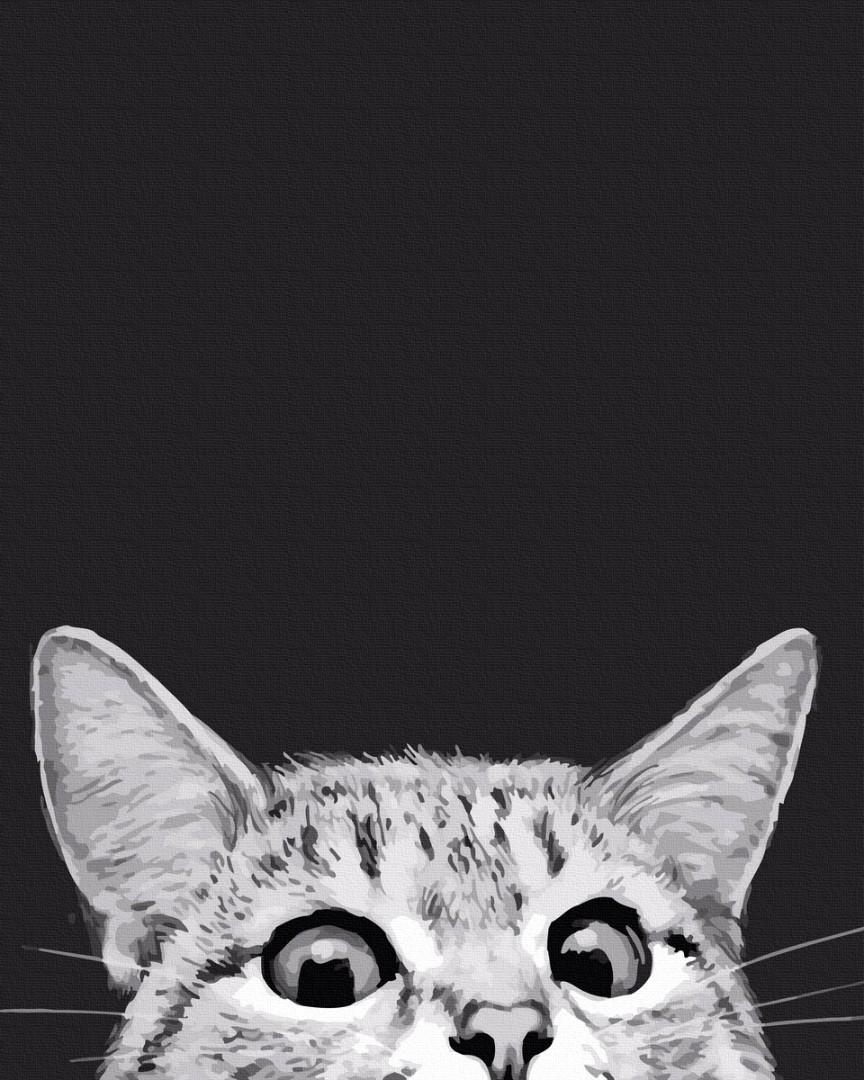 Картина по номерам Brushme Кошачья охота 40x50 см (G518)