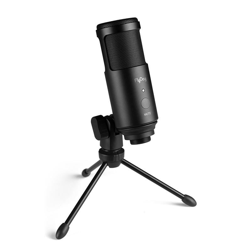 Студийный микрофон FlyDay F2 USB со штативом Black (1371972061)