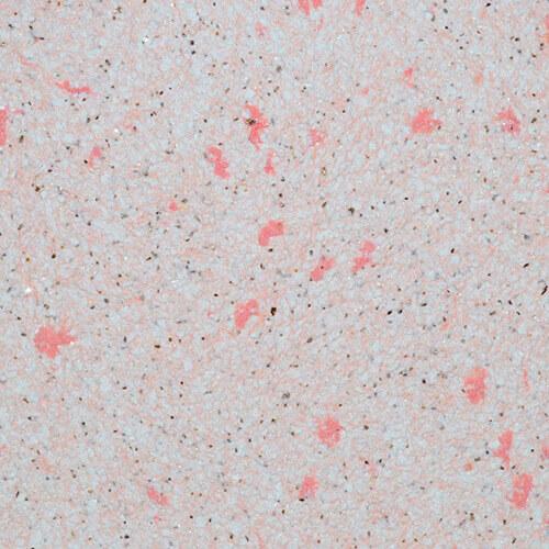 Жидкие обои Экобарвы LP-252-619 Лайт Плюс целлюлоза Персиковый (11-LP-252-619)