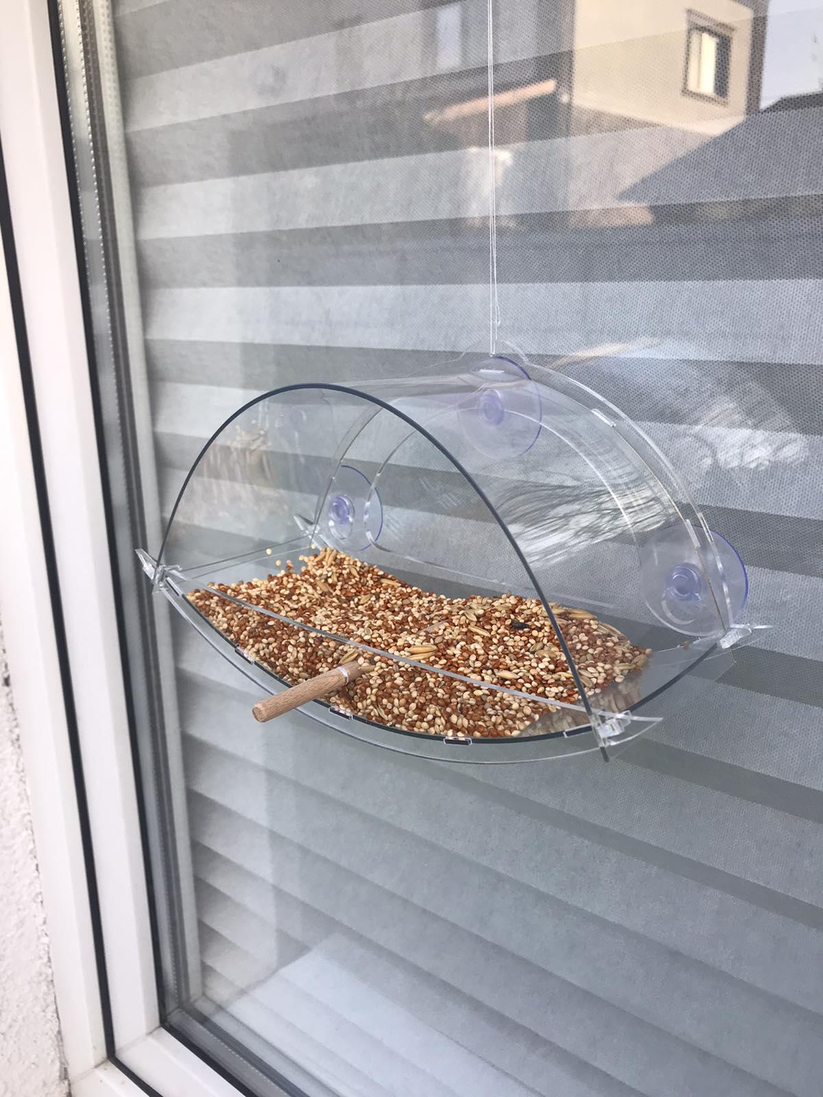 Кормушка на окно ТРЕСТ на присосках Прозрачный (0002123) - фото 4 Кормушка на окно ТРЕСТ на присосках Прозрачный (0002123) - фото 4