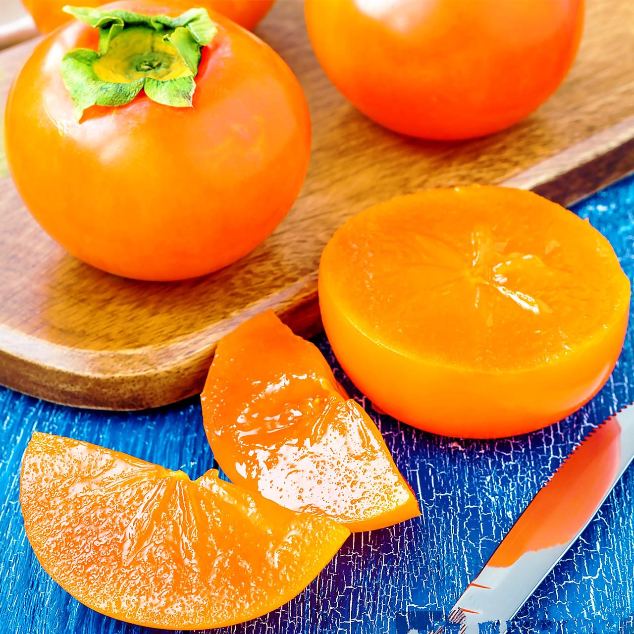 Саженец хурмы Дар Софиевки двухлетняя ранняя морозостойкая самоплодная (1033845037)