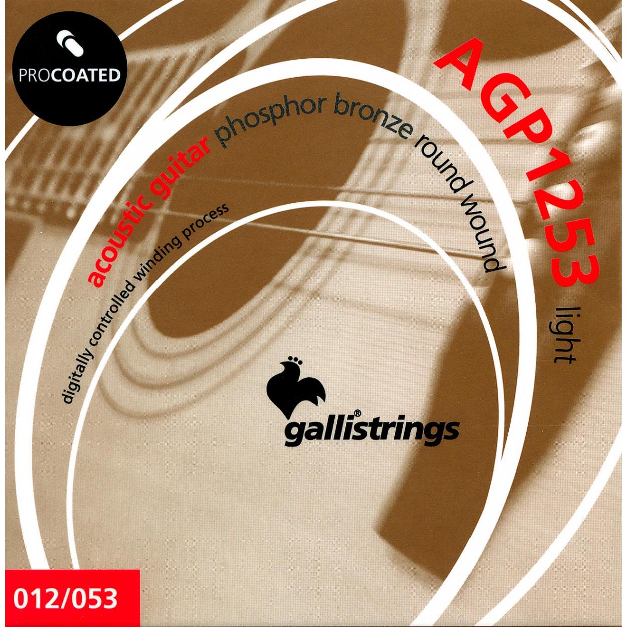 Струни для акустичної гітари GalliStrings AGP1253 Light (21182)