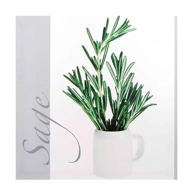 Картина Flora Шалфей 40х40 см (30610)