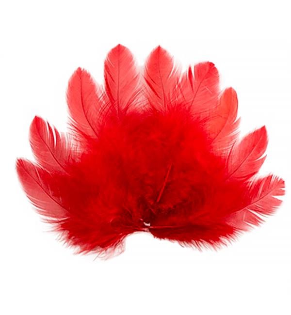 Пір'я для декору натуральне 10 г Червоний (514282)