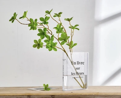 Ваза для квітів з акрилу Книга про квіти Прозорий (RO02490)