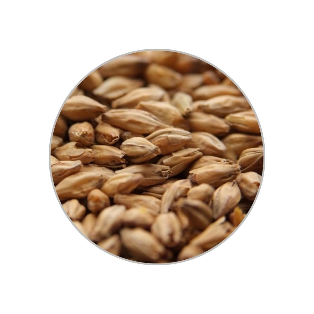 Солод для виски Beech Smoked EBC специальный копченый 4-8 1 кг