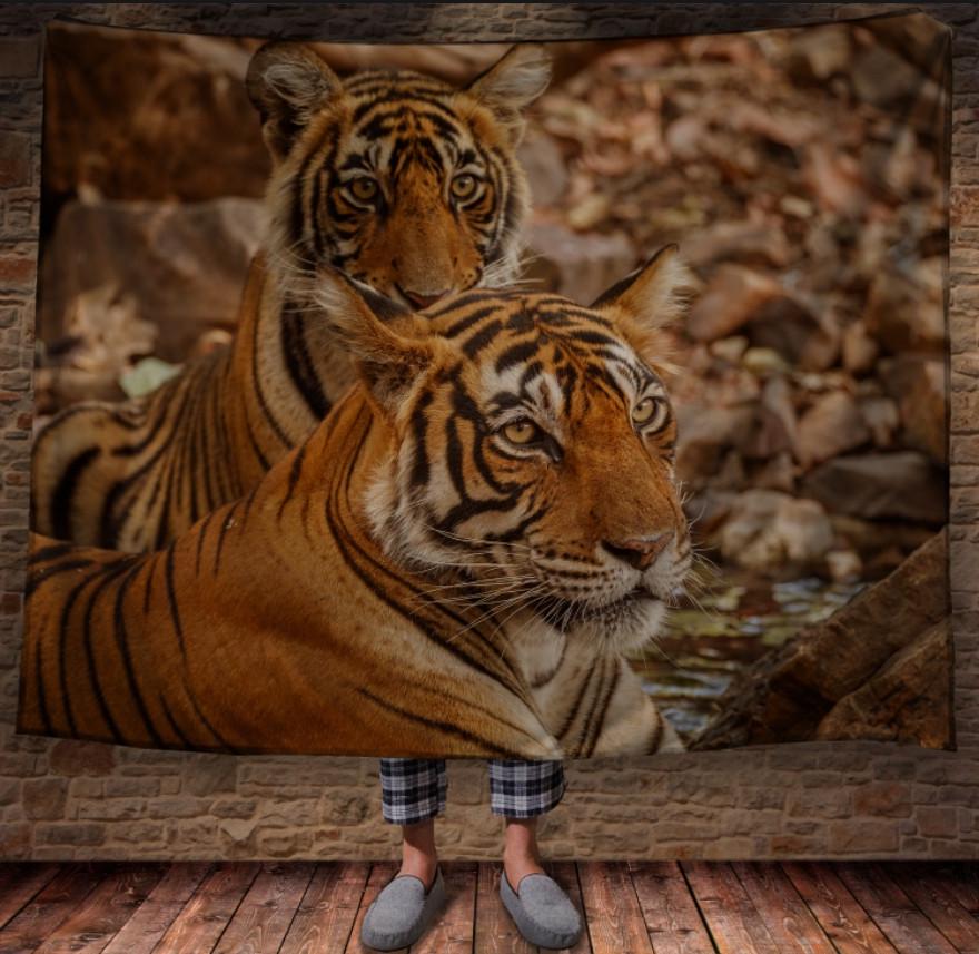 Плед с 3D принтом 1235 150х200 см (epi_1596)