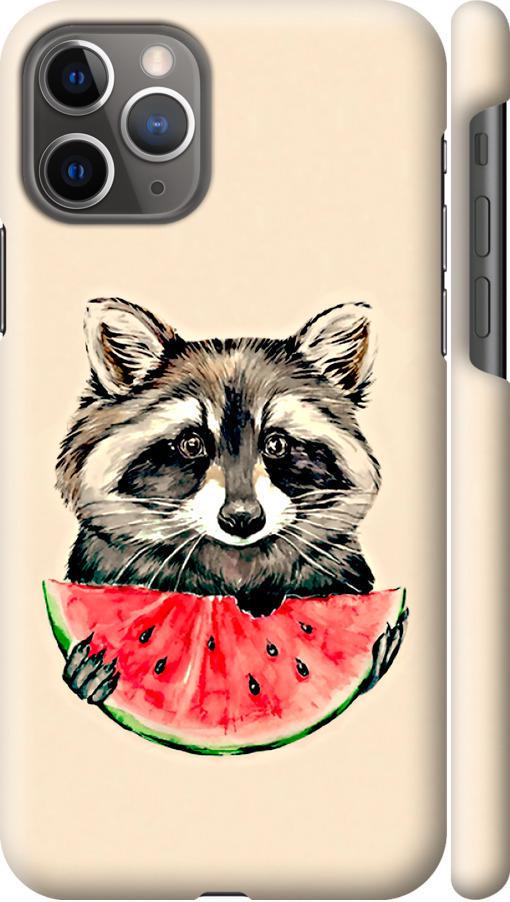 Чехол на iPhone 11 Pro Енотик с арбузом (4605m-1788-42517)