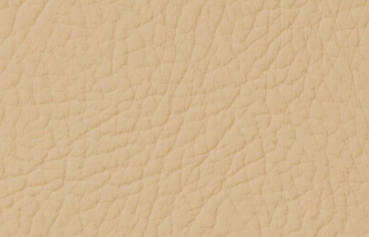 Эмаль для окрашивания кожи Leather Expert Colourant 100 г 201 Beige