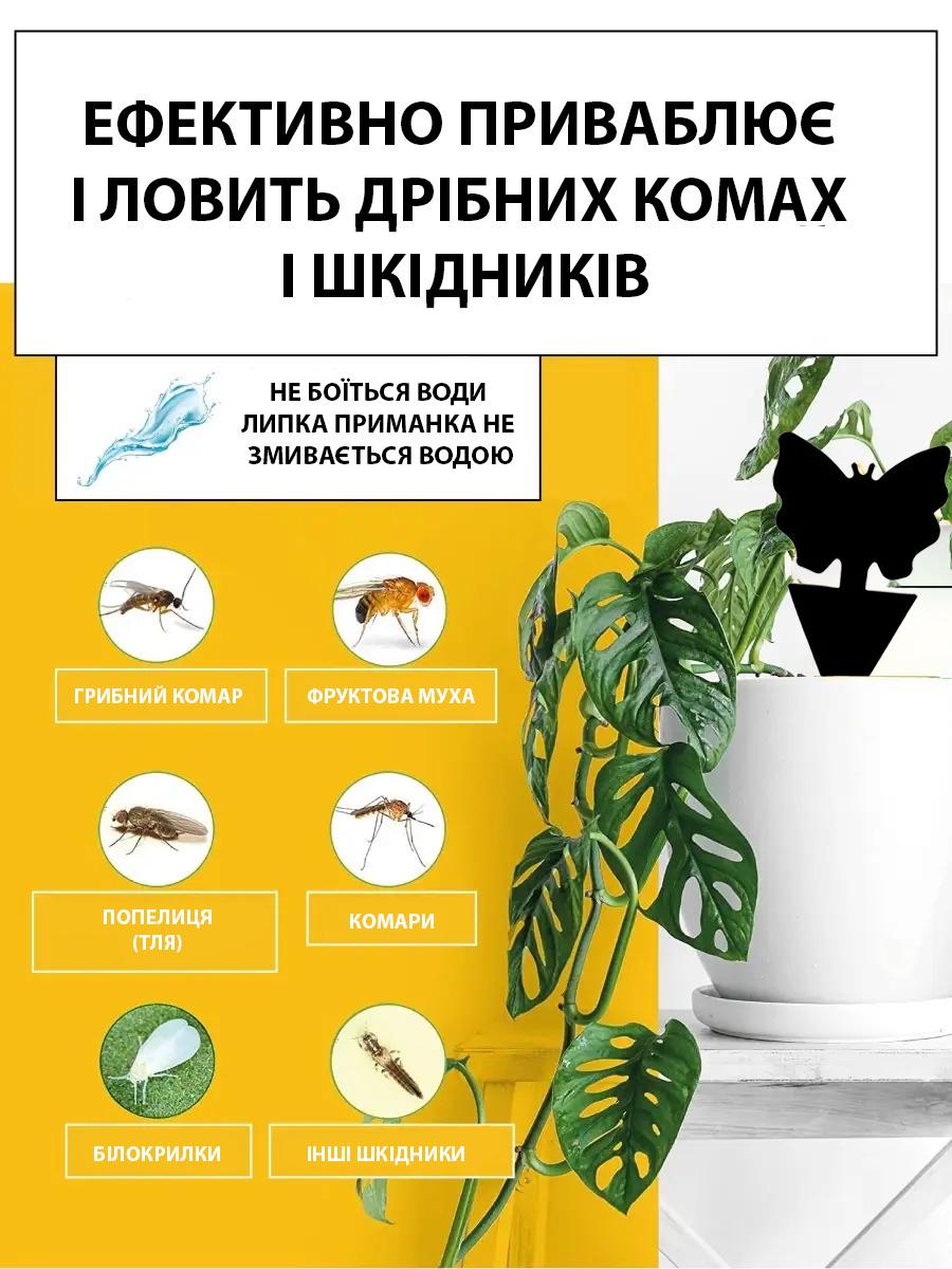 Набор ловушек черных от мошек и муравьев 20 шт. (144) - фото 5