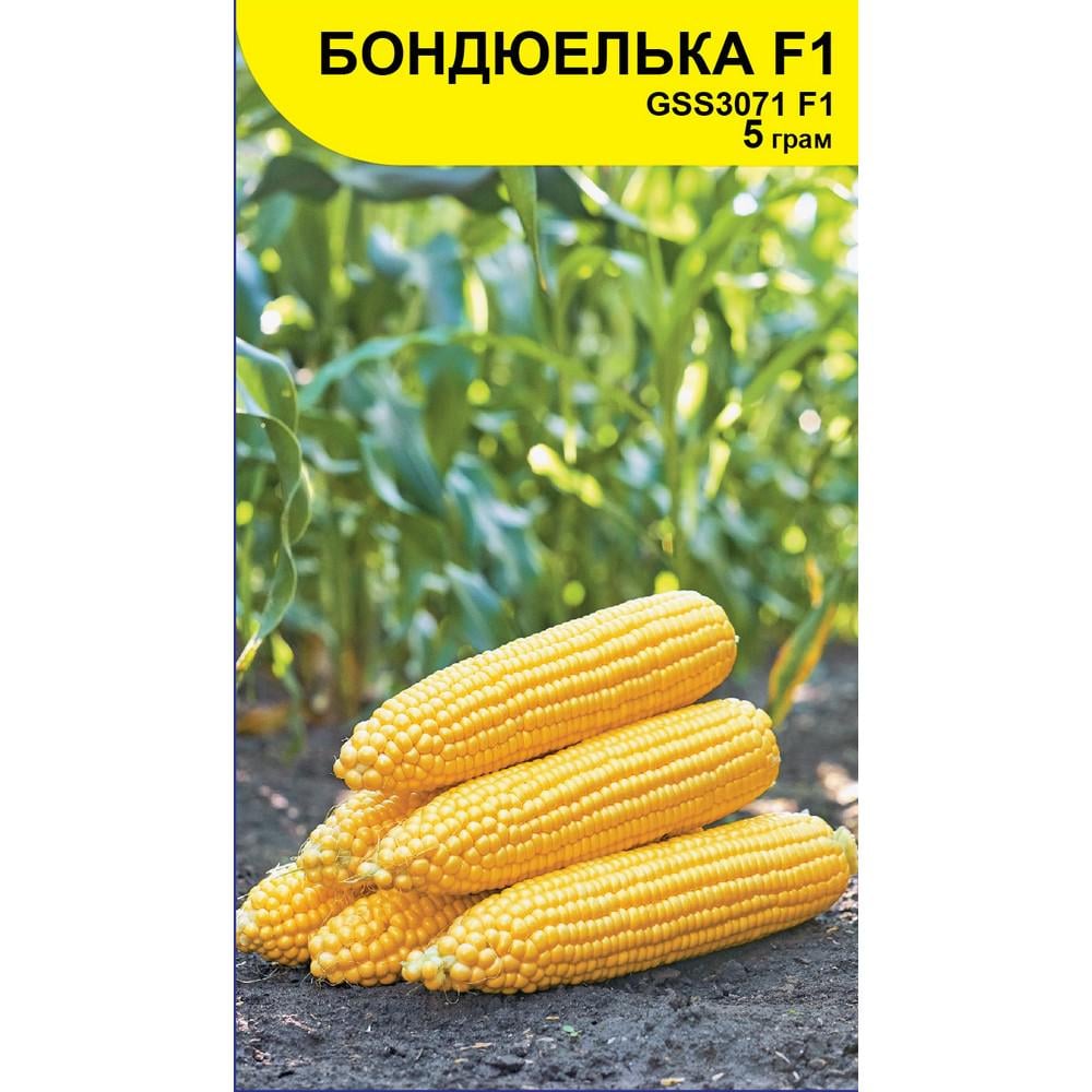 Семена кукурузы Syngenta Бондюэлька GSS 3071 F1 5 г (41113) - фото 1