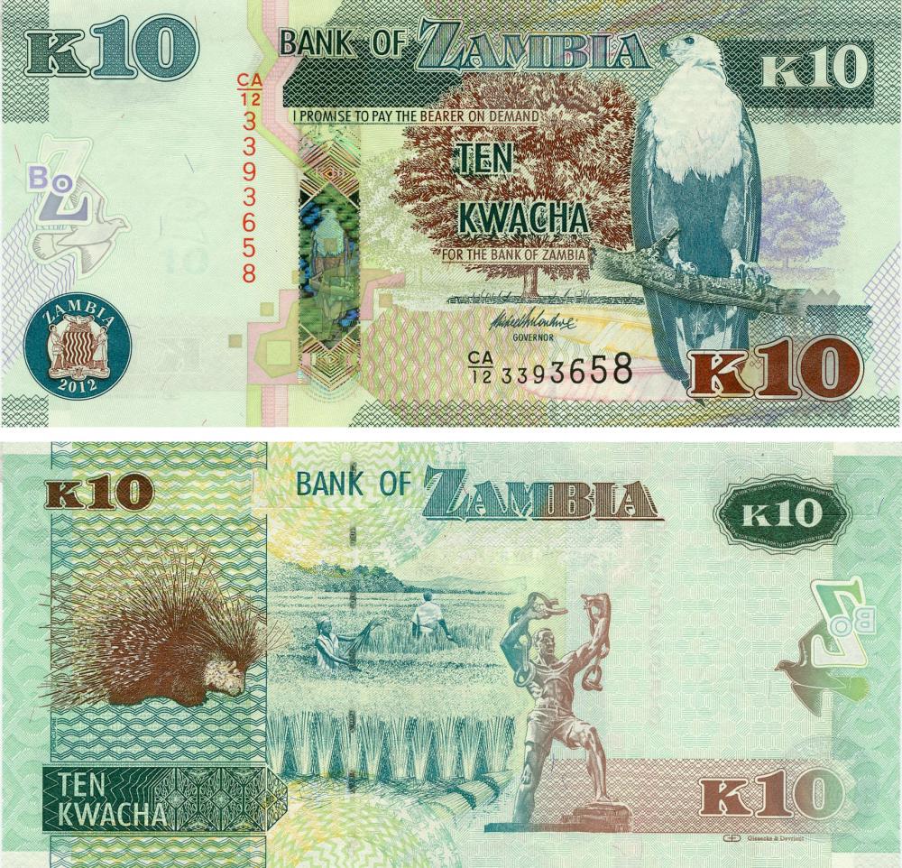 Коллекционная банкнота Замбия 10 квача 2012 Дикобраз UNC P51a (Б14760)