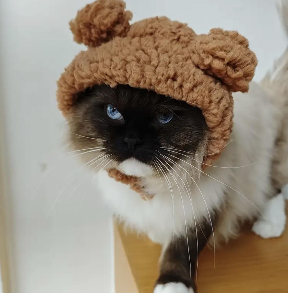 Шапка с ушками для кошек/собак Pet 2-4.5 кг Brown - фото 9