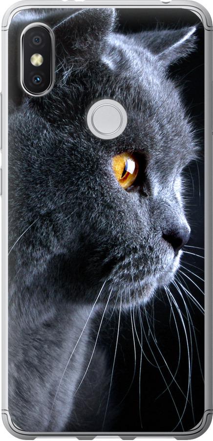 Чехол на Xiaomi Redmi S2 Красивый кот (3038u-1494-42517)