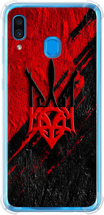 Чехол на Samsung Galaxy A20 2019 A205F Герб v4 (5293sp-1761-42517)