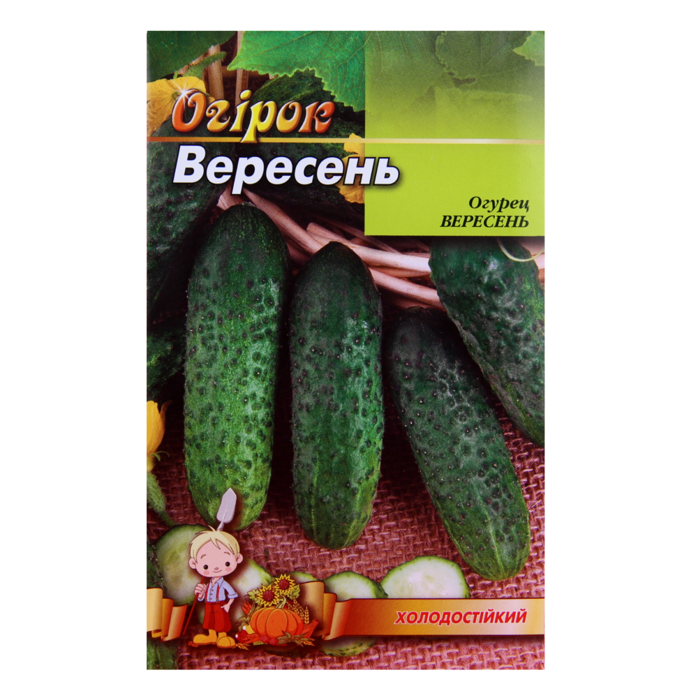 Насіння огірка Вересень F1 середньоранній 3 г (29580) Насіння огірка Вересень F1 середньоранній 3 г (29580)
