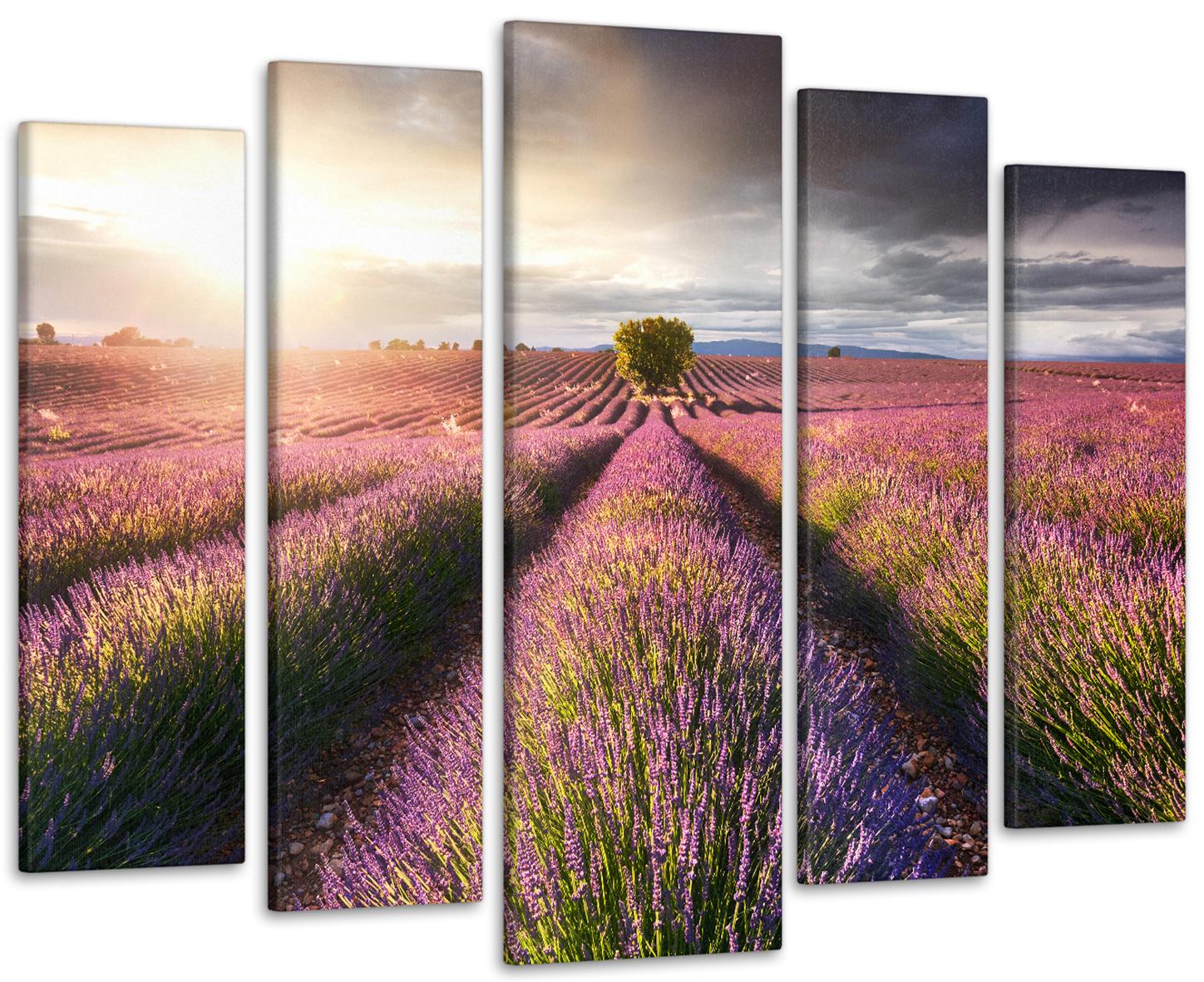 Картина модульная Природа Лаванда 115х170 см (Art-350_5)