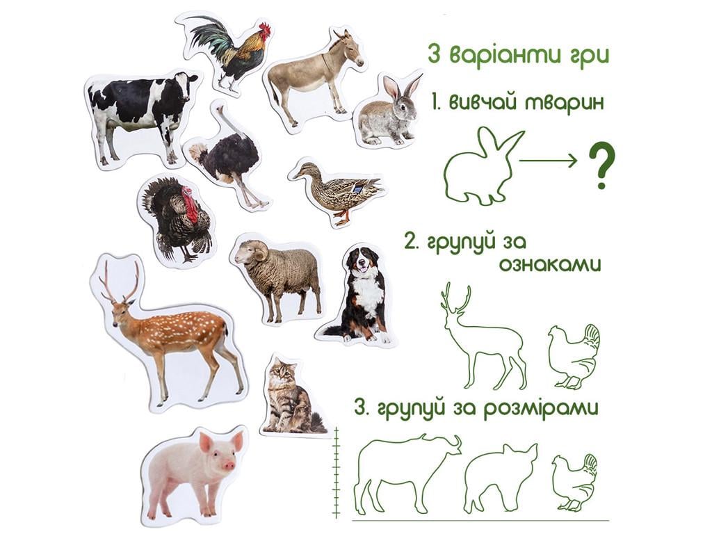 Набор магнитов Magdum ML4031-04 EN Farm Animal Magnets Ферма (22108) - фото 3 Набор магнитов Magdum ML4031-04 EN Farm Animal Magnets Ферма (22108) - фото 3